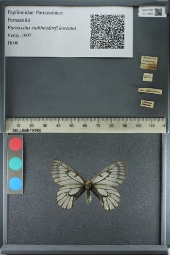 Media type: image;   Entomology 179960